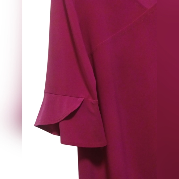 Clara Sun-Woo - NWT, XS Raspberry Colored Blouse W/ 3/4 Flutter Sleeves, V-Neck - Picture 10 of 11